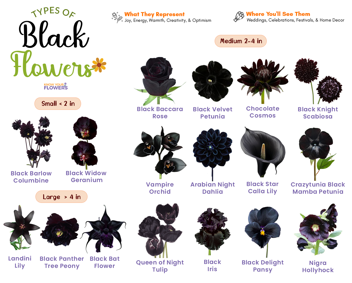 Black Flowers
