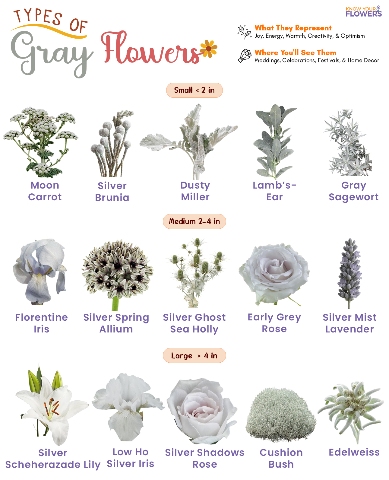 Gray Flowers
